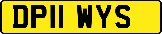 DP11WYS