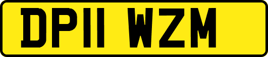 DP11WZM