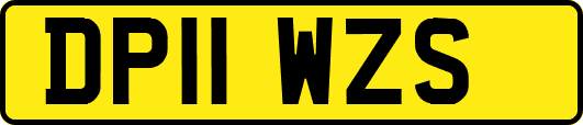 DP11WZS