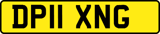 DP11XNG