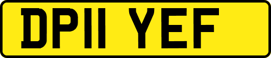 DP11YEF