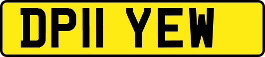 DP11YEW