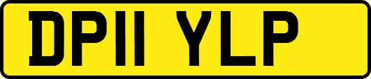 DP11YLP
