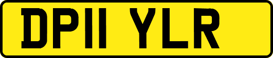 DP11YLR