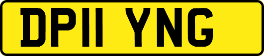 DP11YNG