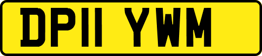 DP11YWM