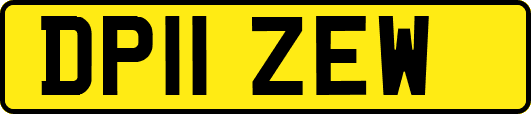 DP11ZEW