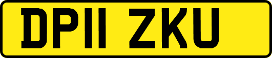 DP11ZKU