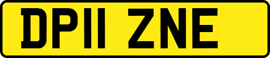 DP11ZNE
