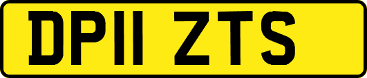 DP11ZTS