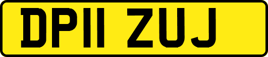 DP11ZUJ