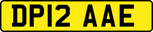 DP12AAE