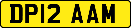 DP12AAM