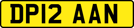 DP12AAN