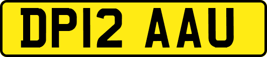 DP12AAU