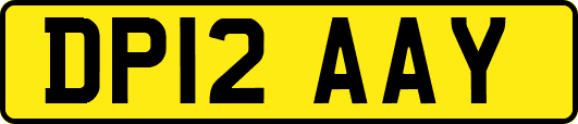 DP12AAY
