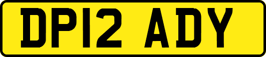 DP12ADY