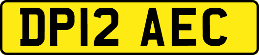 DP12AEC