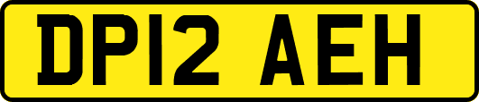 DP12AEH
