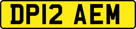 DP12AEM