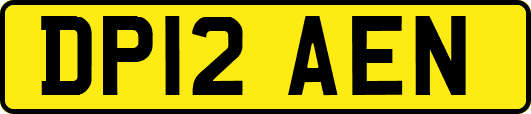 DP12AEN