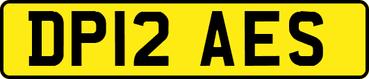 DP12AES