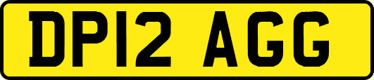 DP12AGG