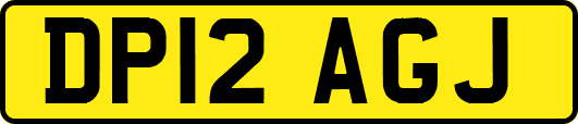 DP12AGJ