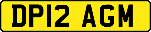 DP12AGM