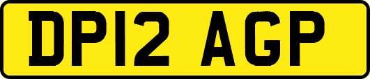DP12AGP