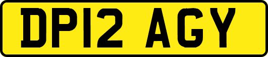 DP12AGY