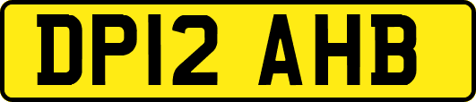 DP12AHB