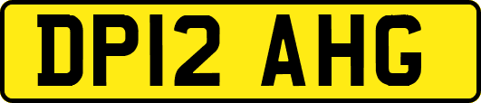 DP12AHG