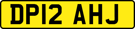 DP12AHJ