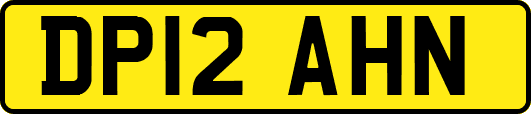 DP12AHN