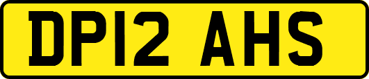 DP12AHS