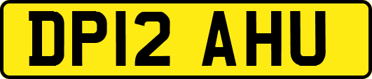 DP12AHU
