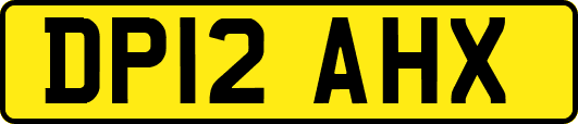 DP12AHX