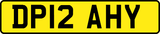 DP12AHY