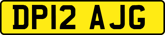 DP12AJG