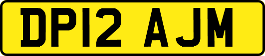 DP12AJM