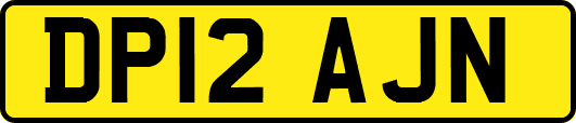 DP12AJN