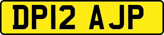 DP12AJP