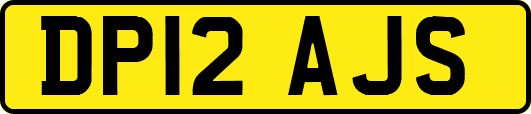 DP12AJS