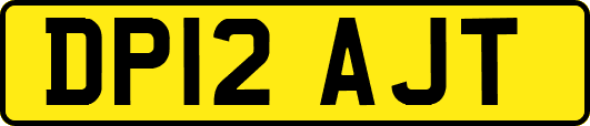 DP12AJT