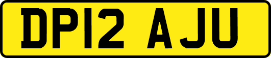 DP12AJU
