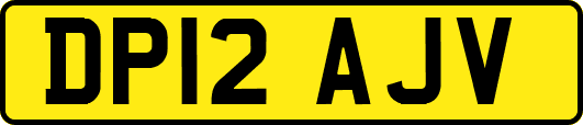 DP12AJV