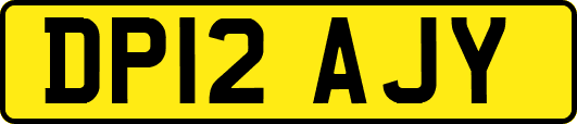 DP12AJY