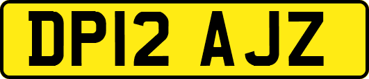DP12AJZ