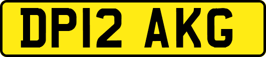DP12AKG